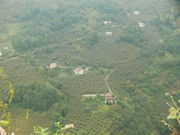 High angle view of houses on field