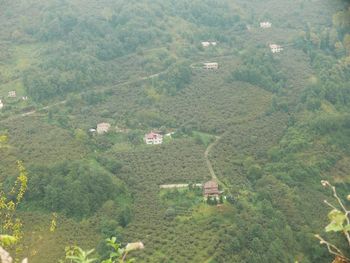 High angle view of houses on field