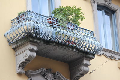 Low angle view of window of building