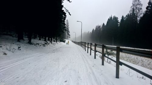 Snow covered trees against clear sky