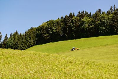 Scenic view of trees on field against sky