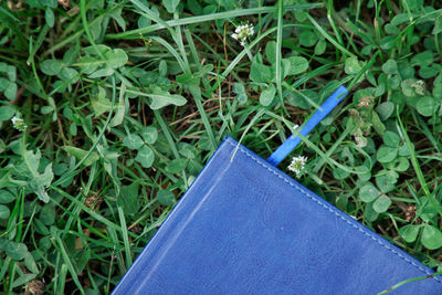 High angle view of green plants on field