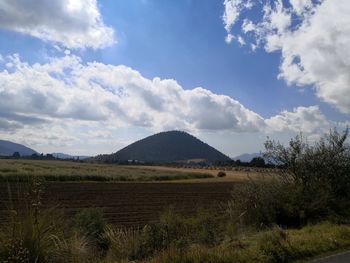 Scenic view of field against sky