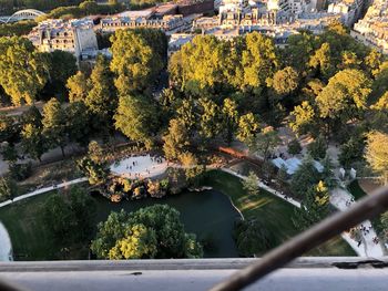 High angle view of trees and buildings in city