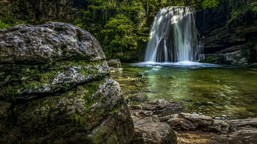 Scenic view of waterfall in forest