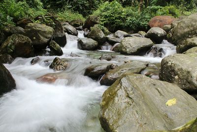 Scenic view of waterfall