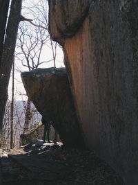 Built structure with trees in background