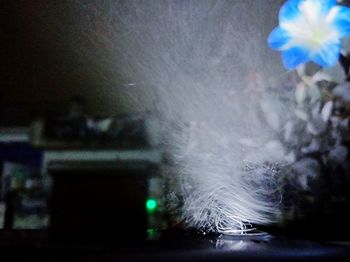 Close-up of illuminated lighting equipment in water at night