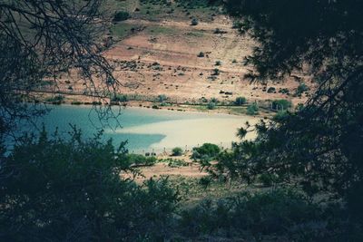 High angle view of lake amidst trees in forest