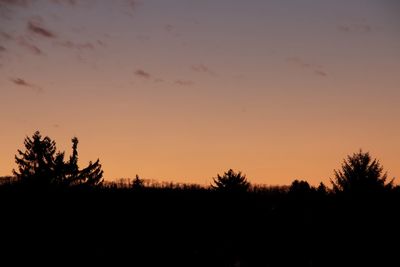 Silhouette trees on landscape against sky during sunset