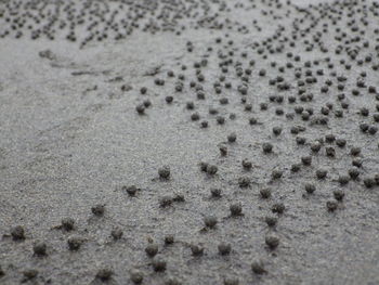 Close-up of sand