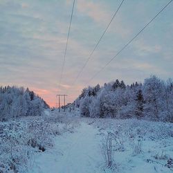 Scenic view of snow covered landscape