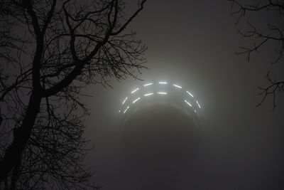 Low angle view of silhouette trees against sky at night