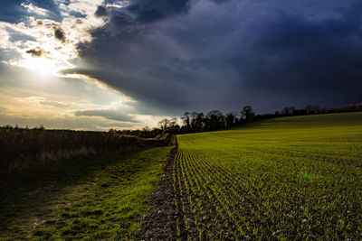 Scenic view of grassy field against cloudy sky