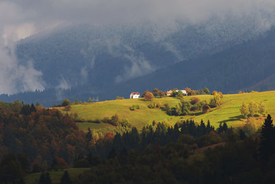 Scenic view of trees on field against sky