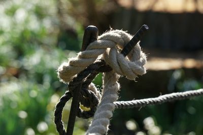 Close-up of rope tied outdoors