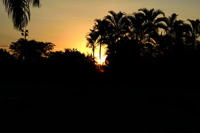 Silhouette trees on landscape against sky at sunset