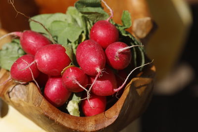 Radish, radieschen