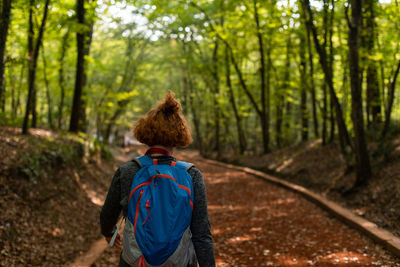 Rear view of woman walking in forest