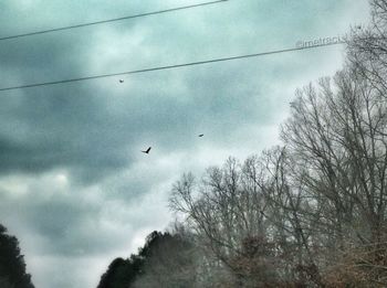 Low angle view of bare tree against cloudy sky
