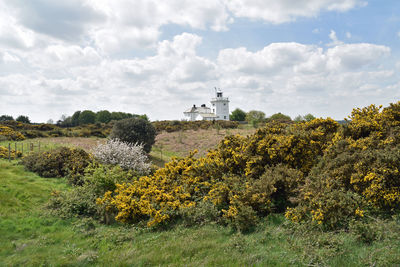 Scenic view of flowering plants and trees on field against sky