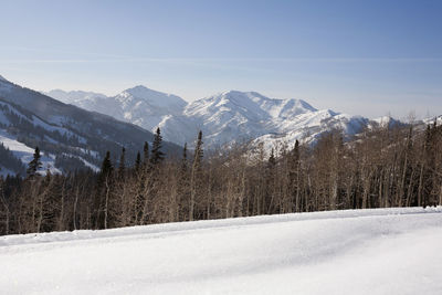 Beautiful snowy mountains and forest in brighton, utah, usa