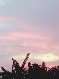 Low angle view of silhouette plants against sky at sunset