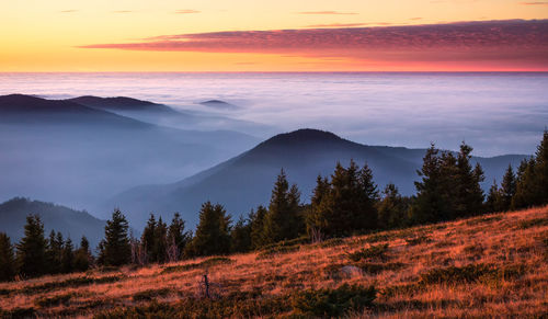 Scenic view of landscape against sky during sunset