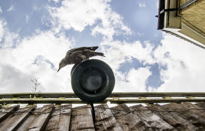 Low angle view of bird perching on roof against sky