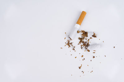 High angle view of cigarette against white background