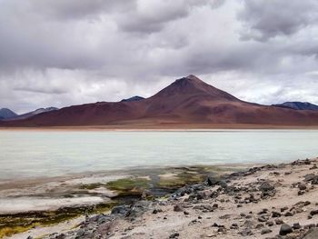 Laguna blanca near the salar de uyuni in bolivia.