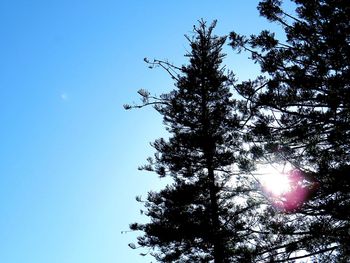 Low angle view of silhouette tree against blue sky