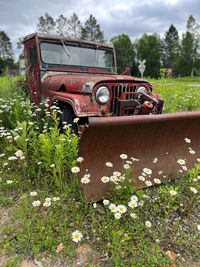 Car on field