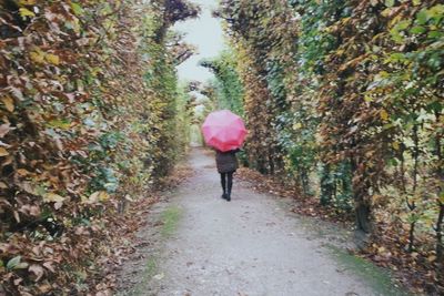 Rear view of woman walking on footpath