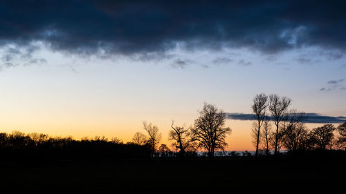 Silhouette trees on field against sky at sunset
