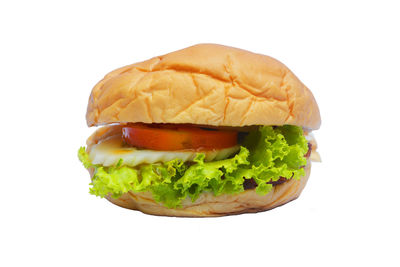 Close-up of burger against white background