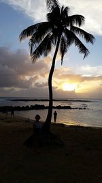 Palm trees on beach