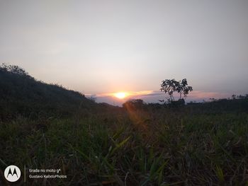 Scenic view of field against sky during sunset