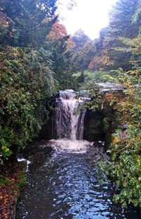 View of waterfall in forest