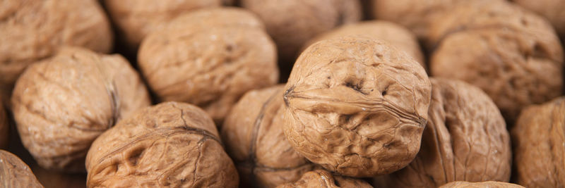 Full frame shot of walnuts