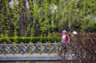 Blurred motion of people walking on land