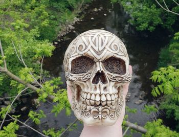 Close-up of human skull against trees