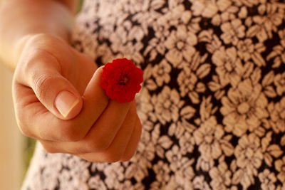 Close-up midsection of woman holding red flower