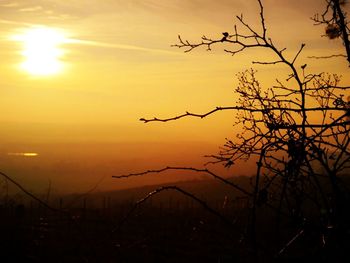 Silhouette plants against romantic sky at sunset