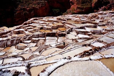 View of trees on rocks