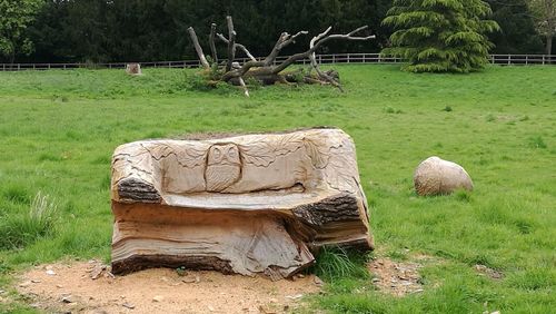 Sculpture on field against trees