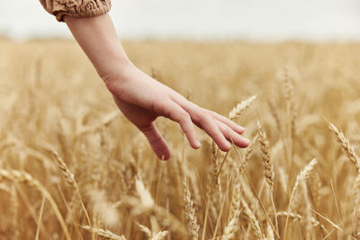 Cropped hand of woman standing on field