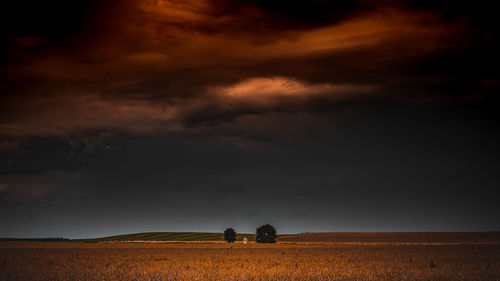 Scenic view of agricultural field against sky during sunset