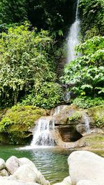 Scenic view of waterfall in forest