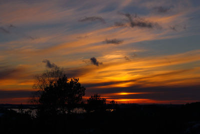 Silhouette trees against dramatic sky during sunset